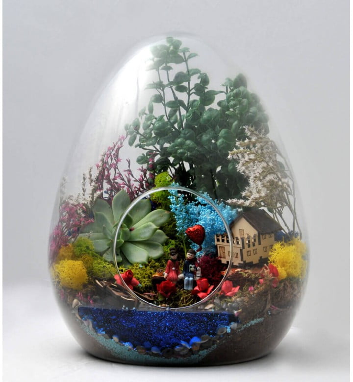 SONSUZ AŞK HUZUR - YUMURTA TERARYUM