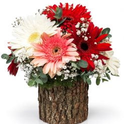 Doğal Ahşap Kütükte Gerbera Aranjmanı