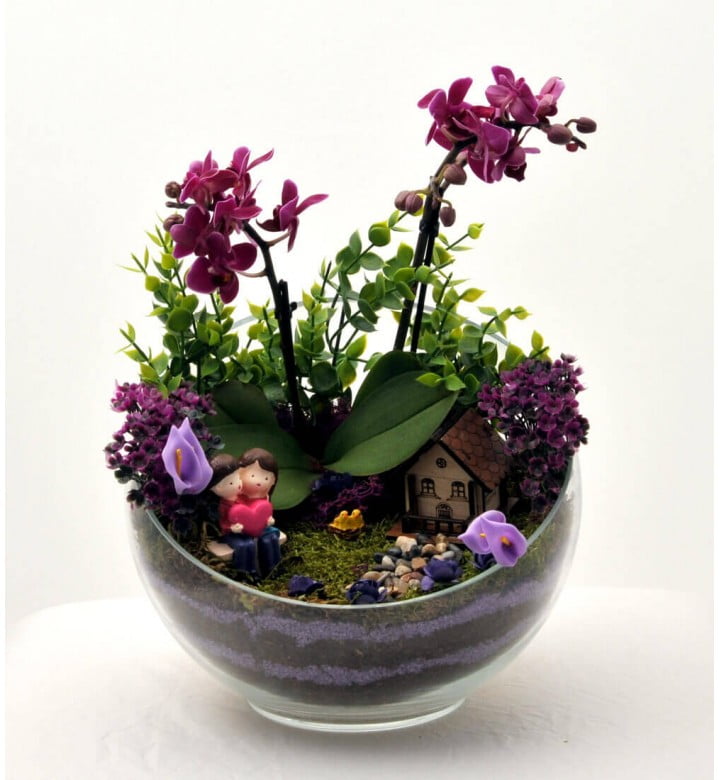 TERARYUM ORKİDE AŞK BAHÇESİ - Görsel 2